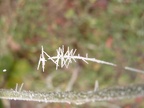 S1051840