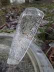 Ice shark 20230118 2